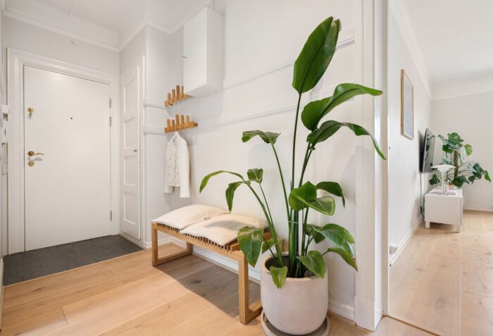 Ljus och välordnad hall med bänk, krokar och stor grön växt